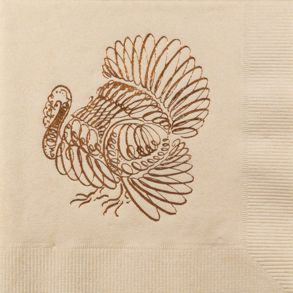 Turkey Art Thanksgiving Napkins