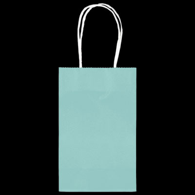 Robins Egg Blue Medium Kraft Bags - 10ct