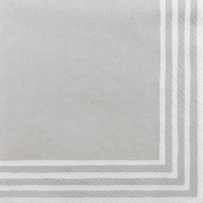 Stripe Border Luncheon Napkins - Silver