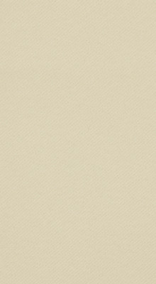 Champagne Linun Guest Towels