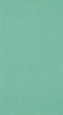 Mint Green Linun Guest Towels