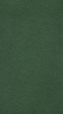 Green Linun Guest Towels