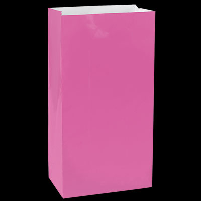 Bright Pink Small Paper Treat Bags - 25ct