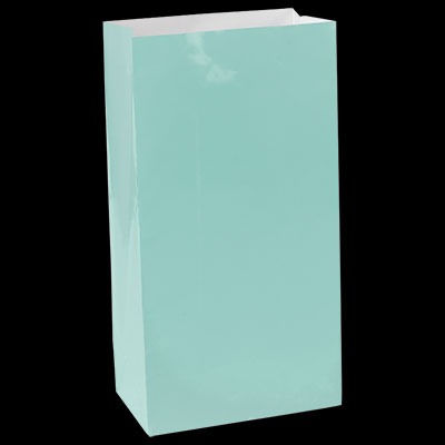 Robins Egg Blue Medium Paper Treat Bags - 12ct