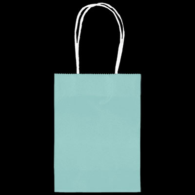 Robins Egg Blue Small Kraft Bags - 24ct