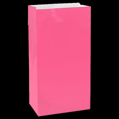 Bright Pink Medium Paper Treat Bags - 12ct