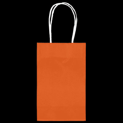Orange Medium Kraft Bags - 10ct