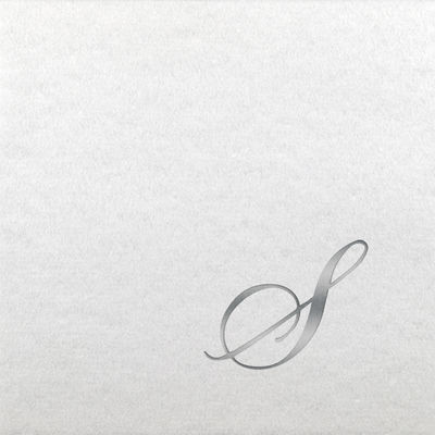 Linun Beverage Napkins - Silver Quill - S