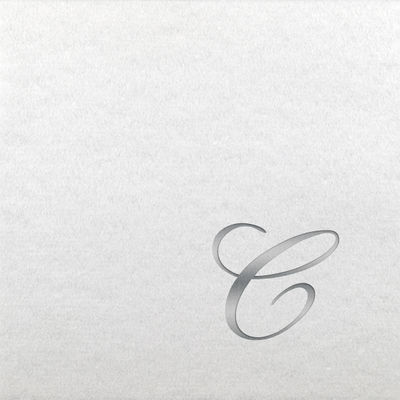 Linun Beverage Napkins - Silver Quill - C
