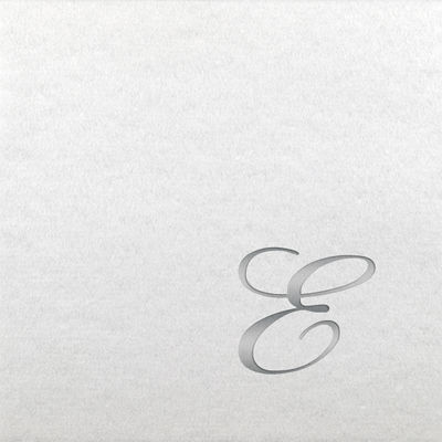 Linun Beverage Napkins - Silver Quill - E