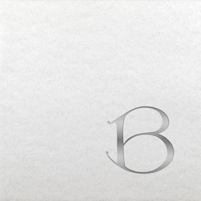 Linun Beverage Napkins - Silver Dieter - B