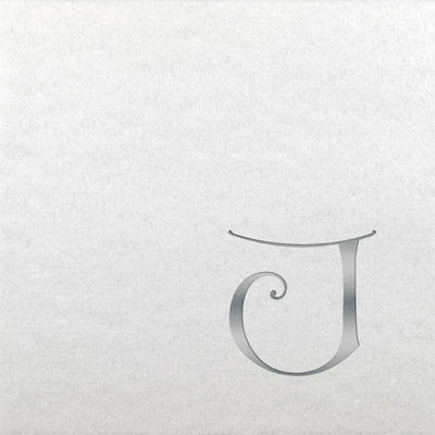 Linun Beverage Napkins - Silver Dieter - J