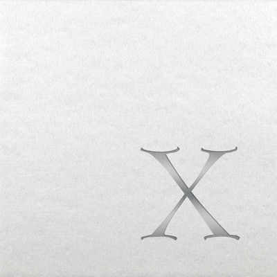 Linun Beverage Napkins - Silver Dieter - X