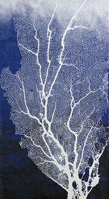 Marine Coral Guest Towels